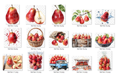 Red Pear | Watercolor fruit fresh ripe juicy png Clipart Product Image 8