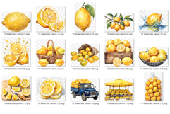 Watercolor Lemon | Citrus Fruit PNG Clipart Kitchen Decor Product Image 6