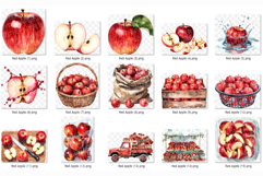Watercolor Red Apple | Fruit Sweet Juicy Summer Fresh PNG Product Image 8