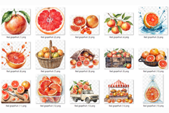 Red Grapefruit PNG | Watercolor Fruit Sweet Juicy Summer Product Image 8