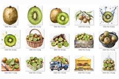 Green Kiwi PNG | Watercolor Fruit Sweet Juicy Summer Fresh Product Image 8