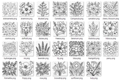 Flower Coloring Page | botanical floral rose tulip sunflower Product Image 11