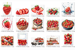 Strawberry | Watercolor fruit fresh juicy summer farm png Product Image 8