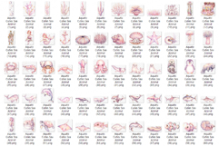 Aquatic Cuties Sea Animal | Watercolor Mermaid Pink PNG Product Image 12