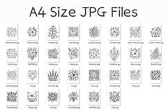 Flower Coloring Page | botanical floral rose tulip sunflower Product Image 12