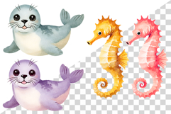 Under the Sea PNG | Summer Ocean Animals Mermaid Whale Shark Product Image 13