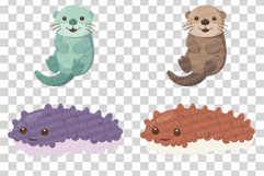 Cute Sea Animal | Clip art PNG Vector Ocean Turtle Whale eps Product Image 14