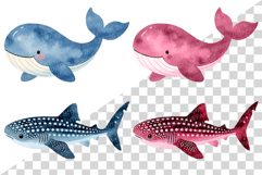 Under the Sea PNG | Summer Ocean Animals Mermaid Whale Shark Product Image 16