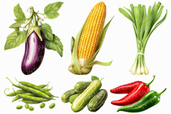 Vegetable Clip art | PNG Artichoke Asparagus Avocado Beet Product Image 2