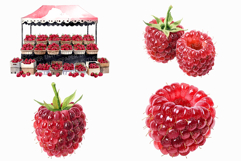 Raspberry PNG | Watercolor Fruit Sweet Juicy Summer Fresh Product Image 2