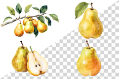 Yellow Pear | Watercolor fruit fresh harvest farm garden png Product Image 2