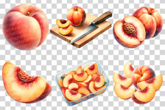Peach PNG | Watercolor Fruit Summer Fresh Produce Clipart Product Image 2