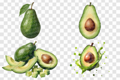 Avocado PNG | Watercolor Fruit Sweet Juicy Summer Fresh Half Product Image 2