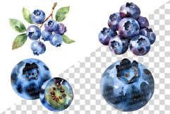 Blueberry PNG | Watercolor Fruit Sweet Juicy Summer Fresh Product Image 2