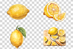 Watercolor Lemon | Citrus Fruit PNG Clipart Kitchen Decor Product Image 2
