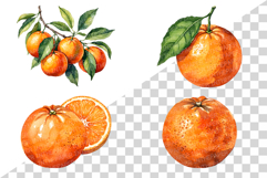 Orange | Watercolor fresh citrus fruit farm harvest png Clip Product Image 2