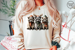 Christmas Racoon|Christmas Feral|Trash Panda with Santa Hat Product Image 2