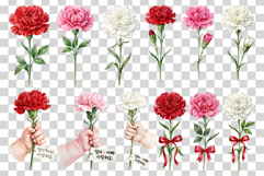 Watercolor Carnation | PNG Clipart Floral Bundle Red Pink Product Image 2
