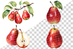 Red Pear | Watercolor fruit fresh ripe juicy png Clipart Product Image 2