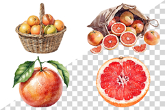 Red Grapefruit PNG | Watercolor Fruit Sweet Juicy Summer Product Image 2
