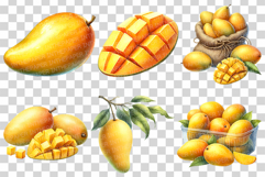 Mango PNG | Watercolor Fruit Summer Fresh Produce Clipart Product Image 2