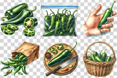 Jalapeno Pepper | Watercolor Vegetable Food Ingredient PNG Product Image 2