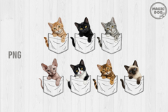 Cat in Pocket Clipart|Cat Peeking Cats Lover|Cat Mom PNG Product Image 2