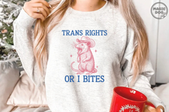 Trans Rights Or I Bites|Vintage Possum Meme Product Image 2