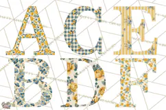 Vintage Floral Alphabet PNG, Country Letters and Farmhouse Product Image 2