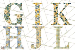 Vintage Floral Alphabet PNG, Country Letters and Farmhouse Product Image 3