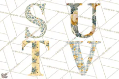 Vintage Floral Alphabet PNG, Country Letters and Farmhouse Product Image 5