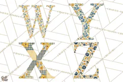 Vintage Floral Alphabet PNG, Country Letters and Farmhouse Product Image 6
