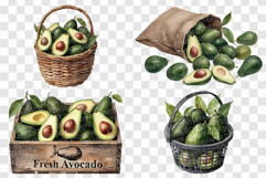 Avocado PNG | Watercolor Fruit Sweet Juicy Summer Fresh Half Product Image 3
