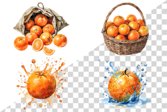 Orange | Watercolor fresh citrus fruit farm harvest png Clip Product Image 3