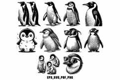40 Penguin SVG Vector Bundle Product Image 3