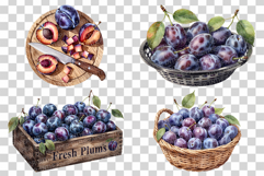 Plum PNG | Watercolor Fruit Clipart Purple Violet Splash Product Image 3