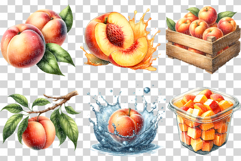 Peach PNG | Watercolor Fruit Summer Fresh Produce Clipart Product Image 3