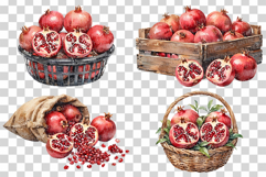 Pomegranate PNG | Watercolor Fruit Clipart Baskets Plastic Product Image 3