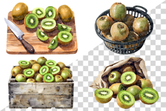 Green Kiwi PNG | Watercolor Fruit Sweet Juicy Summer Fresh Product Image 3