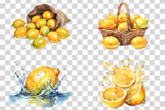 Watercolor Lemon | Citrus Fruit PNG Clipart Kitchen Decor Product Image 3