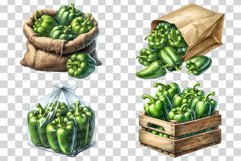 Green Bell Pepper | Watercolor Vegetable Fresh Organic PNG Product Image 3