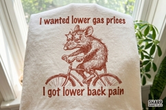 I Wanted Lower Gas Prices I Got Lower Back Pain Funny PNG Product Image 3