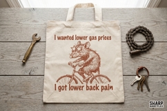 I Wanted Lower Gas Prices I Got Lower Back Pain Funny PNG Product Image 5