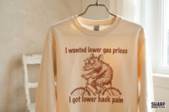 I Wanted Lower Gas Prices I Got Lower Back Pain Funny PNG Product Image 6