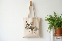 Pine Branch PNG, Botanical Nature Clipart, Evergreen Forest Product Image 4