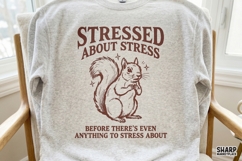 Stressed About Stress Before There’s Even Anything To Product Image 4
