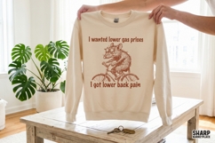 I Wanted Lower Gas Prices I Got Lower Back Pain Funny PNG Product Image 4