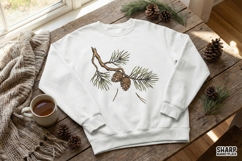 Pine Branch PNG, Botanical Nature Clipart, Evergreen Forest Product Image 2