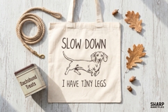 Slow Down I Have Tiny Legs Dachshund PNG, Shirt Png, Funny Product Image 4