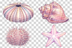 Aquatic Cuties Sea Animal | Watercolor Mermaid Pink PNG Product Image 4